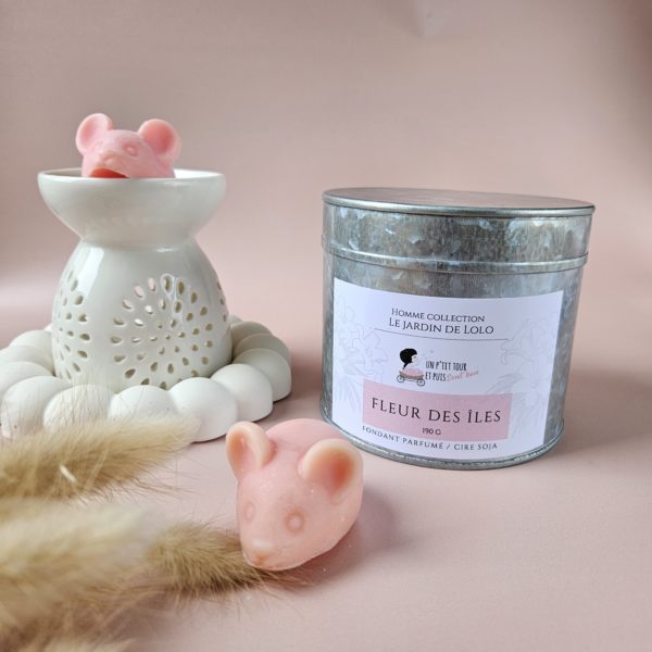 Fondants parfumés en forme de souris -  Boite de 190 g – Image 4